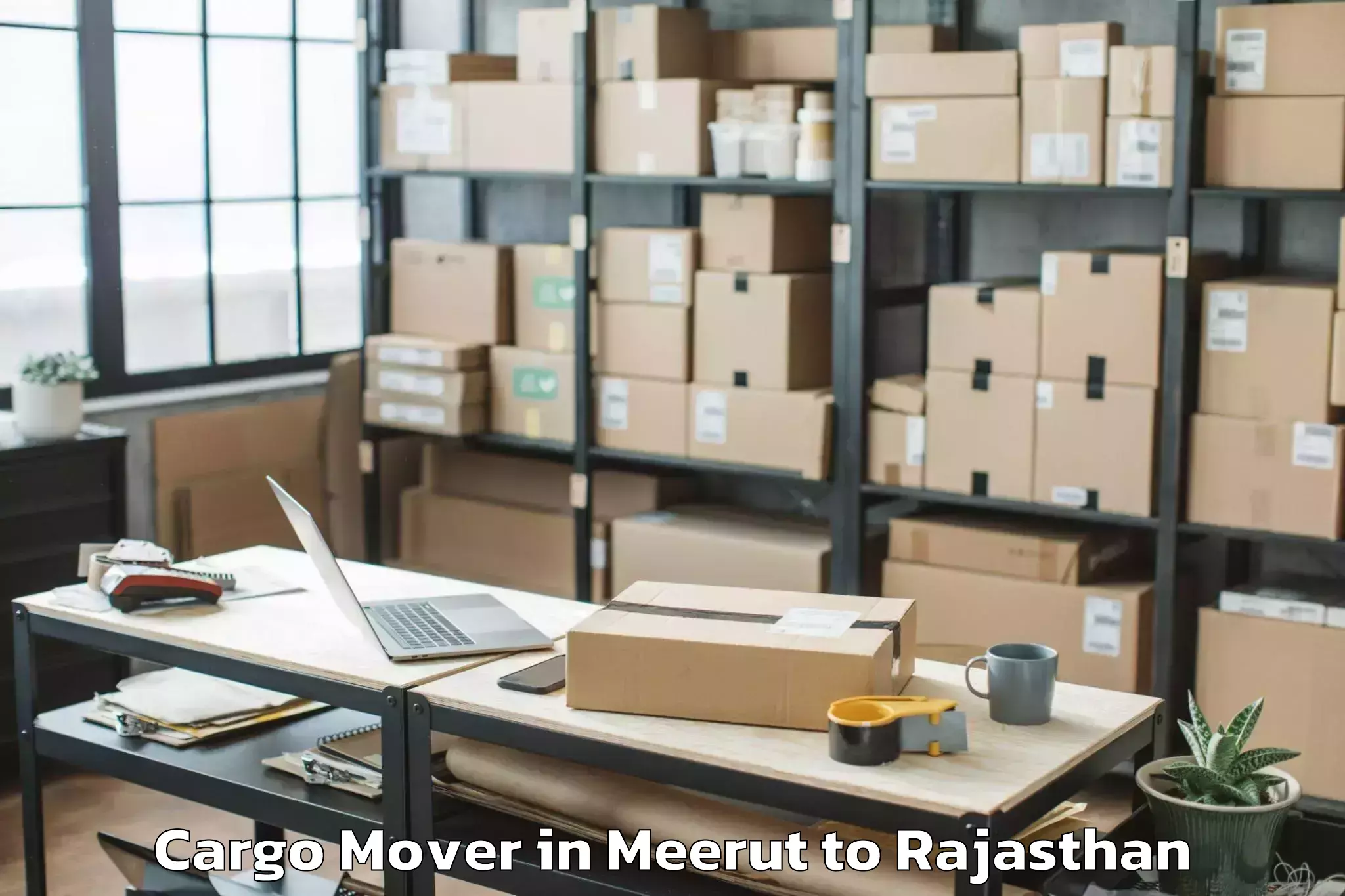 Meerut to Ladnun Cargo Mover Booking